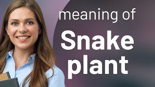 Unraveling the "Snake Plant": More Than Just a Name