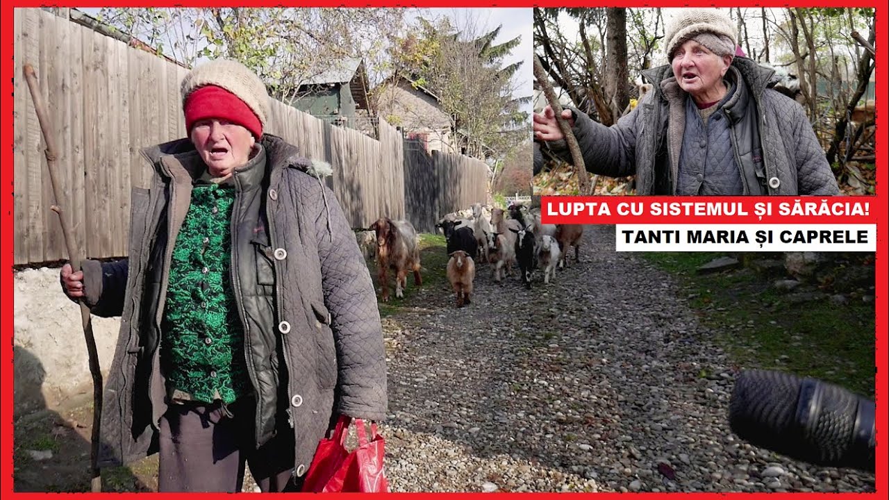 Tanti Maria și CAPRELE | Femeia care se luptă cu Sistemul, SĂRĂCIA și frigul | Credință și SĂNĂTATE