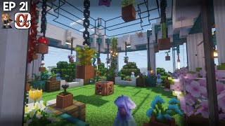Hide n Seek AND building around the bay Alphacraft Season 5 Episode 21