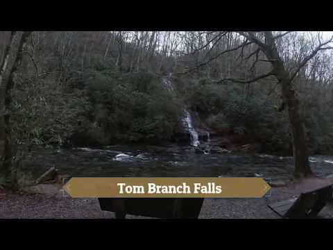 Little Creek Falls Loop | GSMNP | Trail Review