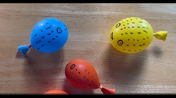 How to make Puffer Fish? | DIY Puffer Fish | Science Experiment | Puffer Fish Experiment