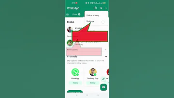 How To Hide Your IP Address During Call On WhatsApp Whatsappstatus 