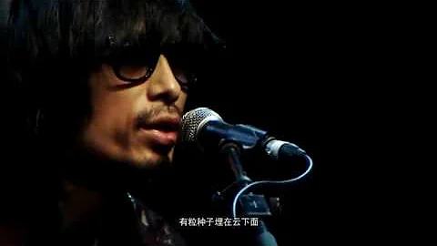 向阳花（live生活第三季 谢天笑降噪不插电音乐会） - 天天要闻