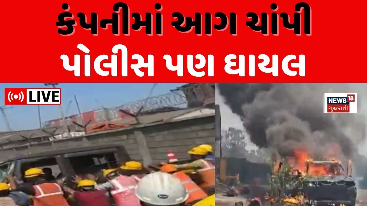 🟠Surat AMNS Company Strike LIVE | કર્મચારીઓએ કરી ભારે તોડફોડ, પોલીસ બોલાવી પડી | Gujarat | Police