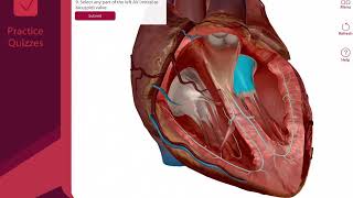 [PROMO] Anatomy \& Physiology | Visible Body