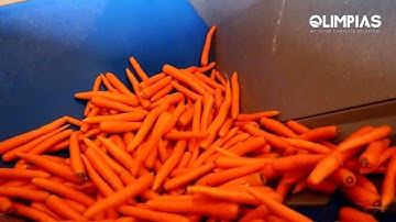 OLIMPIAS S.A. | Sorting and Packing Line for Carrots. Γραμμή ταξινόμησης και συσκευασίας για καρότα.
