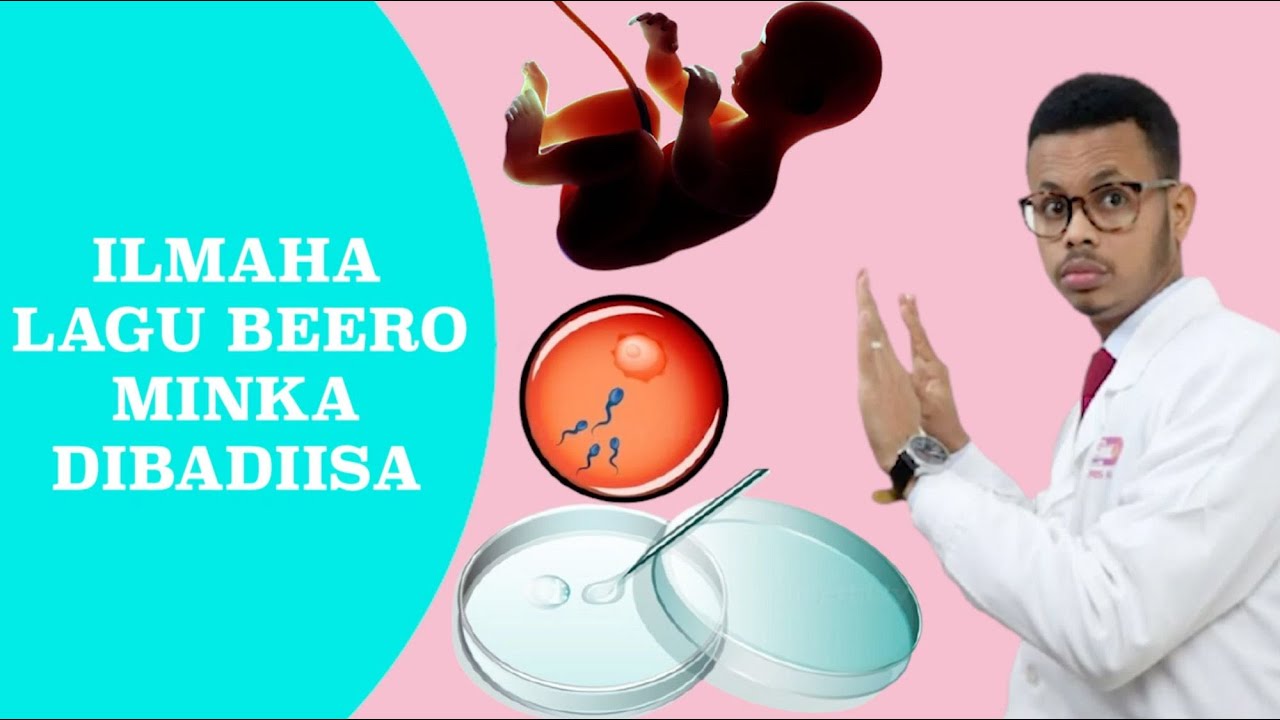 Dhalmo la'aanta iyo ilmha lagu Beero Minka Dibadiisa.  Dr faris