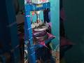 😃Fully Automatic Paper Plate Making Machine दोना और प्लेट बनाने की मशीन। 😃✅#shortsfeed #shortvideo