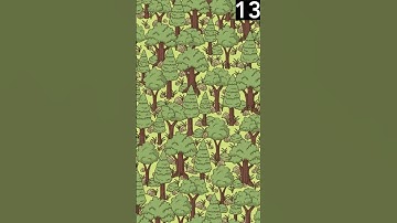 Can You Find the Hidden Object in This Picture| If You Can Answer This, You Are Probably a Genius