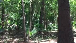 Lugar increible La Coenega de Tlaxcala en Ayotlan Jalisco