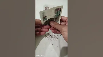 طريقة لف السجائر بدون مكنة لف 