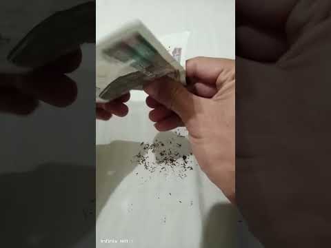 طريقة لف السجائر بدون مكنة لف