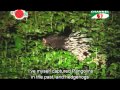 Nature and Life   Episode 28 Biodiversity of our villages