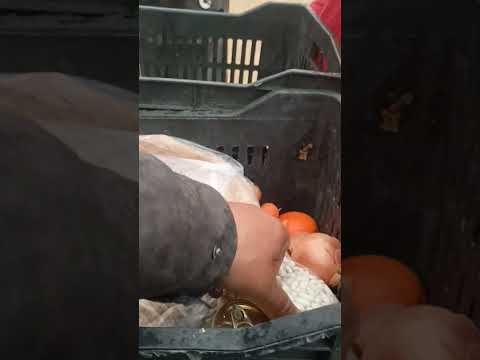 تتحمه على نار الحطب هي واطفالهه ما عده صوبه اكسبلور