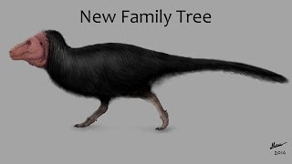 The New Dinosaur Family Tree Explained