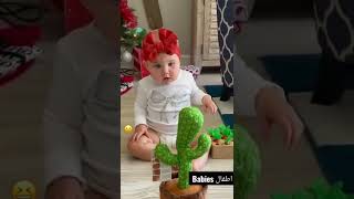 😂 شوفوا ردة الفعل على لعبة الصبارة 😅❤️ a Baby reaction on a Dancing Cactus Toy 😂😂 #funny #kids #fun