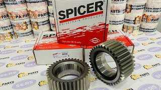 DANA SPICER AXLE DIFFERENTIAL PINION GEAR 770.06.105.01 ; 7700610501 ; CNH 87674600 GEAR