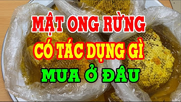 Mật ong rừng nguyên chất, mật ong khoái rừng - Mật ong rừng có tác dụng gì - Mật ong rừng mua ở đâu