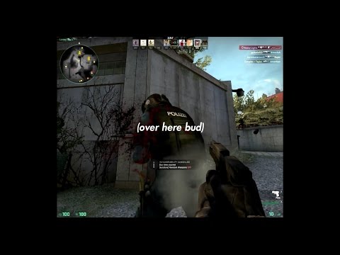 IQ: 600 - IQ: 600