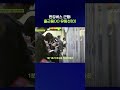 가성비 유람선 됐다는 한강버스 근황 #한강버스 #shorts #스브스뉴스
