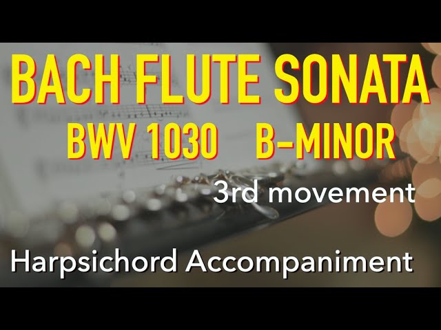 J.S Bach Flute Sonata BWV1030 B minor 1st Movement J.S.バッハ
