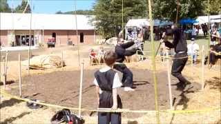 Choreographed Duel with Longsword, Ringen, and Dagger