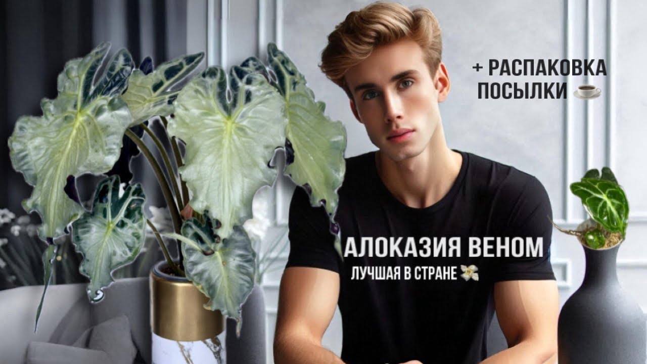 КАК ЗАРАБОТАТЬ НА СВОИХ РАСТЕНИЯХ?💵 АЛОКАЗИЯ ВЕНОМ - СБОР УРОЖАЯ НА 35k🌿💵 / ОБЗОР МОЕЙ КОЛЛЕКЦИИ😋