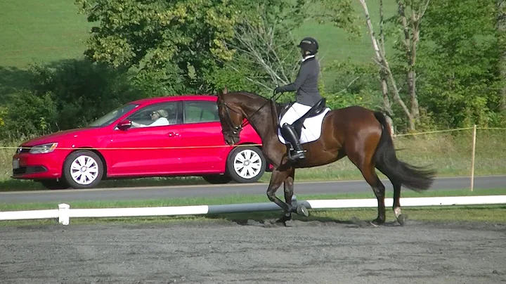 Rebekah Simmons & OBOS Cillbhrid OP Dressage