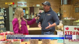 Way Fruit Farm interview strawberry season