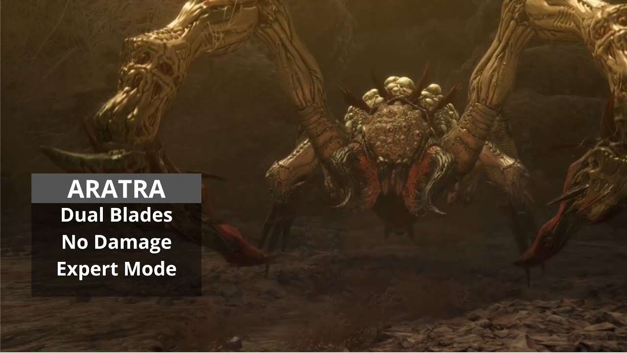 First Berserker Khazan - Boss Fight Aratra (No damage/ Expert mode)