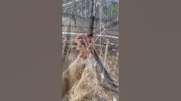 Vật tư nông nghiệp công nghệ cao, Thế giới máy nông nghiệp