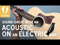 How to use an electric guitar amplifier with an acoustic guitar