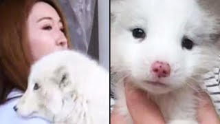 She Adopted A Little Puppy – But Realized Her Hilarious Mistake When He Kept Growing