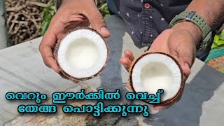 വെറും ഈർക്കിൽ ചുറ്റി തേങ്ങ പൊട്ടിക്കുന്നു || ഒന്ന് ചെയ്തു നോക്കു || Coconut Breaking