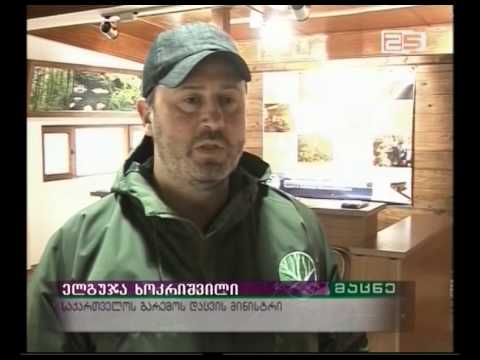 მტირალას ეროვნული პარკი ტურისტული სეზონისთვის ემზადება