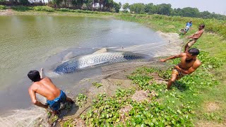 Really Amazing Net Fish | Best Fishing Video   By Catching Fish | Traditional Boys | Net Fishing