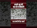 Weather Update Today: कई राज्यों में भारी बारिश का अलर्ट | IMD Alert |