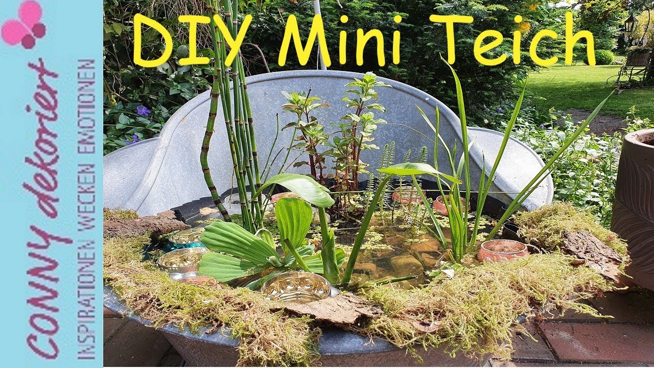 MINI TEICH ZINKWANNE - DIY