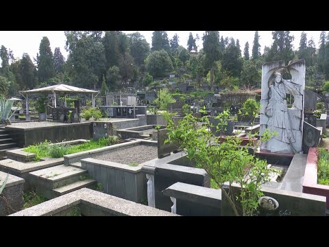 მიცვალებულთა  სულის მოსახსენიებელი პანაშვიდი  ტაძრებში სამშაბათს  ჩატარდება