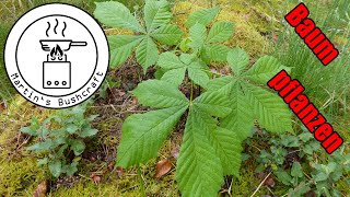 Baum pflanzen Wald retten | Martin´s Bushcraft
Baum pflanzen Wald retten | Martin´s Bushcraft Baum pflanzen Wald retten | Martin´s Bushcraft