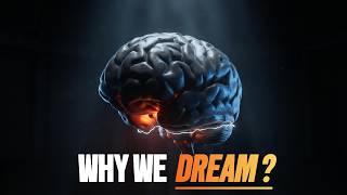 Waking Up in REM: How to Hack the Brainstem Lockout