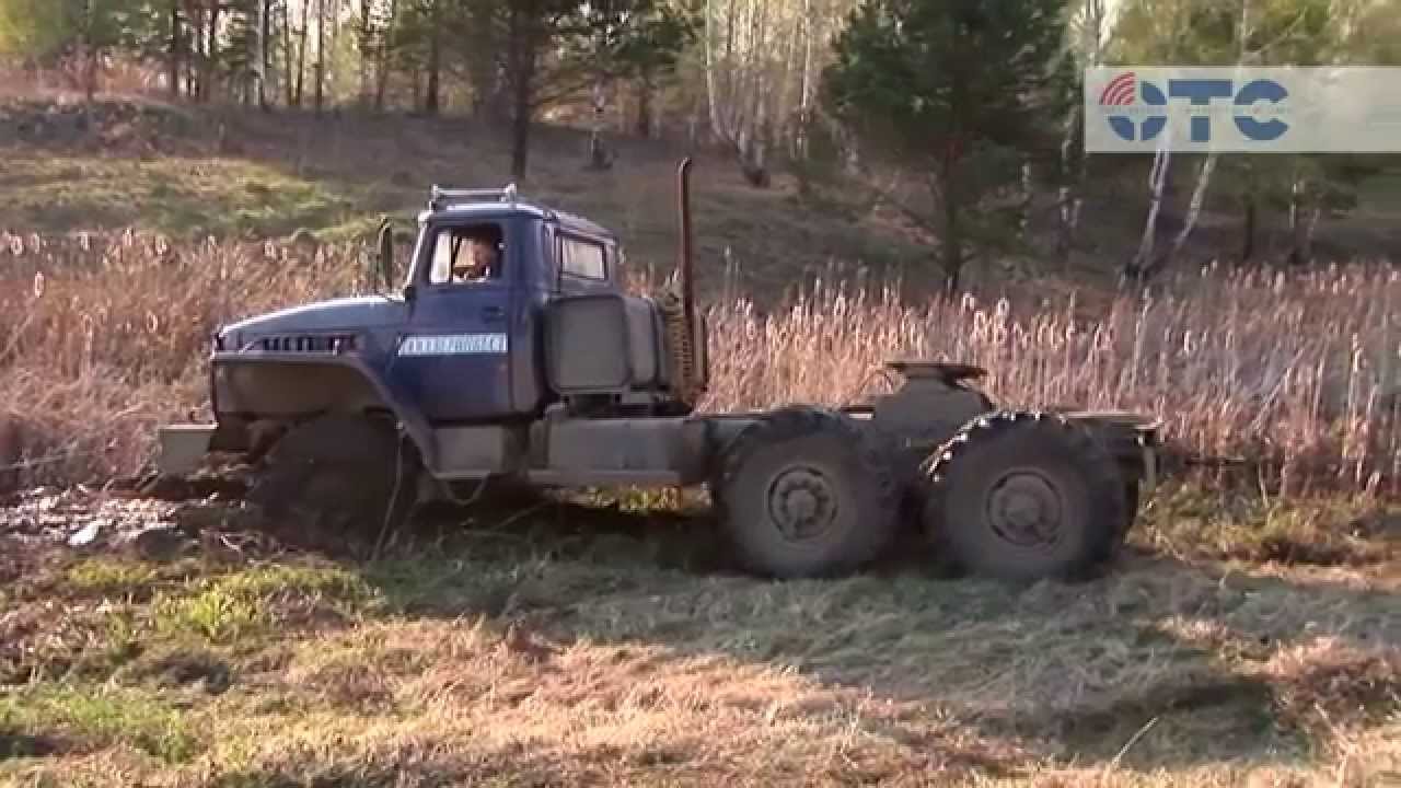 Куни в авто русское