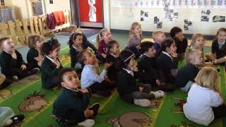 Pm nursery t4w