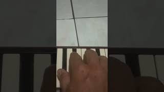 Download Lagu pianika cover lagu Golden brown by The stranglers MP3