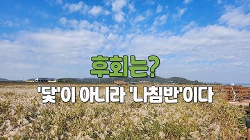 "진짜 후회는 따로 있다". 후회를 멈추는 대신, 삶의 방향을 찾는 내비게이션으로 사용하세요