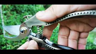 RC-79 Review and Field Test: PUMPKIN SK5 Blade Pruning Shears, Demeter Model PTG-SK5DM (29536)
