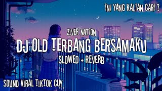 DJ OLD TERBANG BERSAMAKU (Slowed   Reverb)