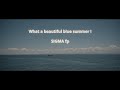 What a beautiful blue summer!/SIGMA fp / Gyroflow Stabilization /Handheld/Film look/cinemaDNG 12bit