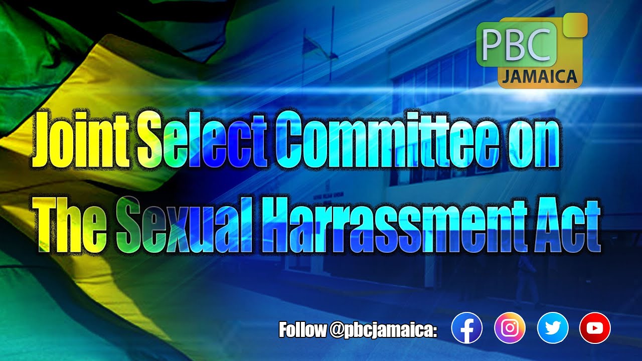 Joint Select Committee on The Sexual Harassment Act 2020 - February 24, 2021