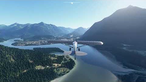 MSFS2020, NeoFly, BUSH PILOT ADDON